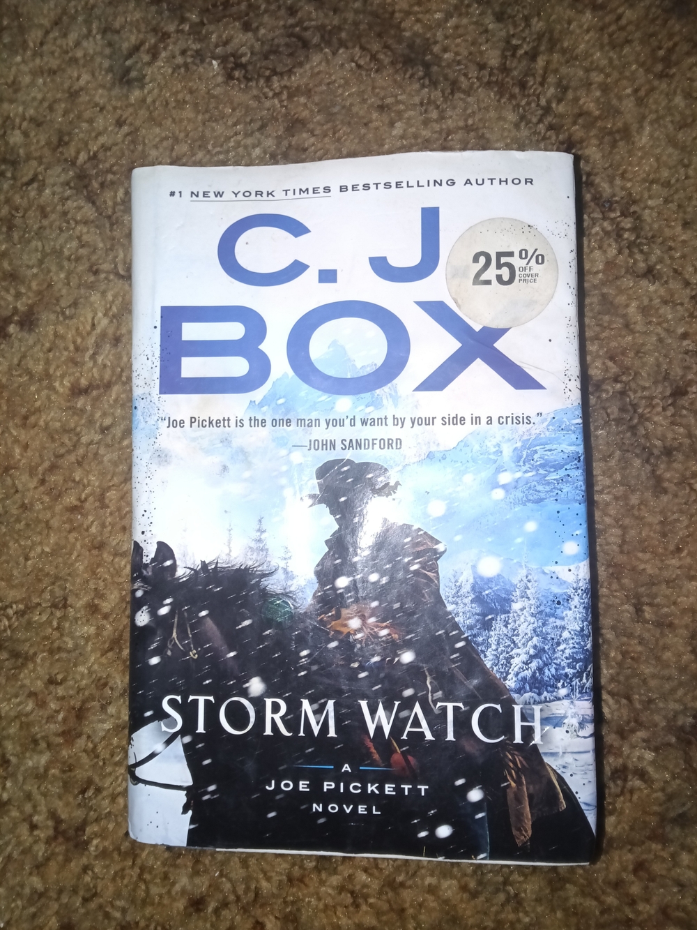 Storm Watch by — Blue Hardcover Novel